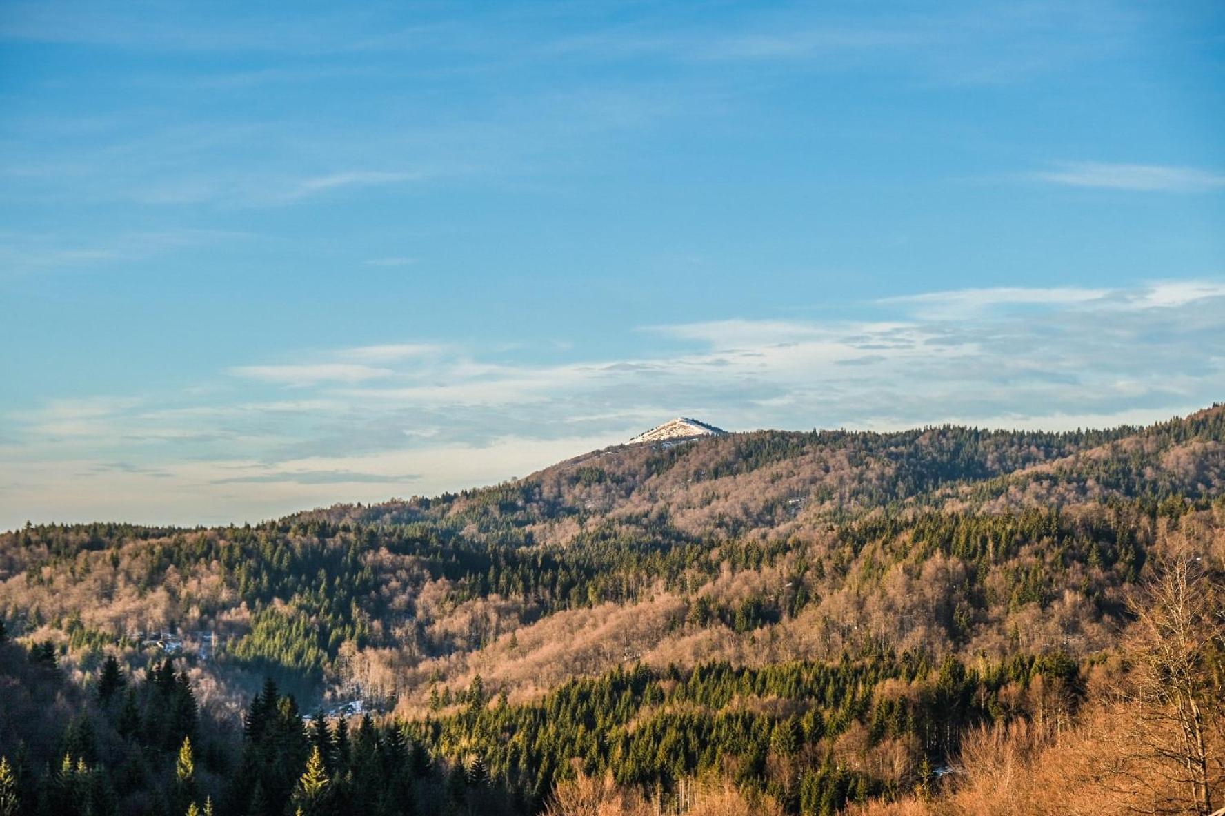 Vila Cajetinski Biser -Apartment Lux Kopaonik Exteriör bild