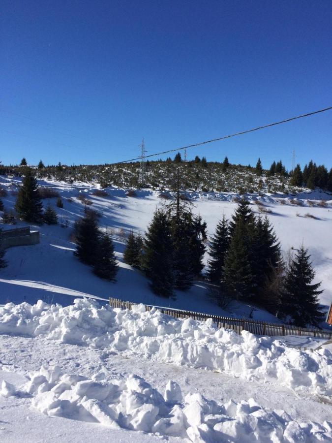 Vila Cajetinski Biser -Apartment Lux Kopaonik Exteriör bild