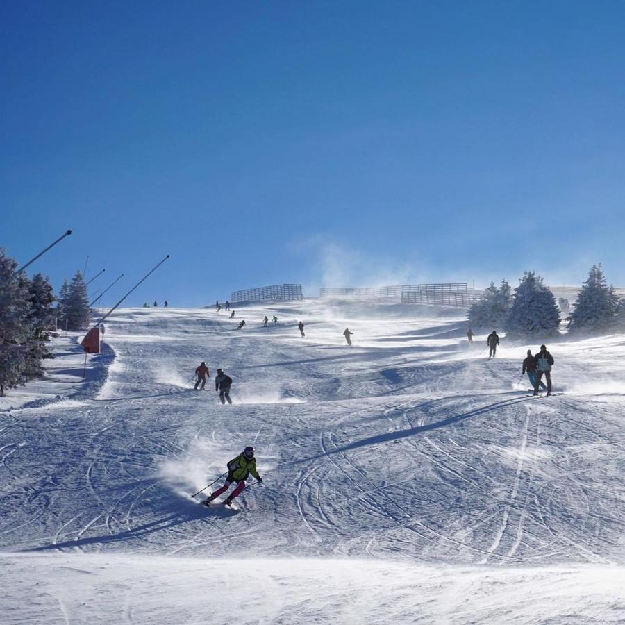 Vila Cajetinski Biser -Apartment Lux Kopaonik Exteriör bild
